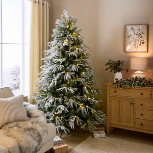 Christmas trees