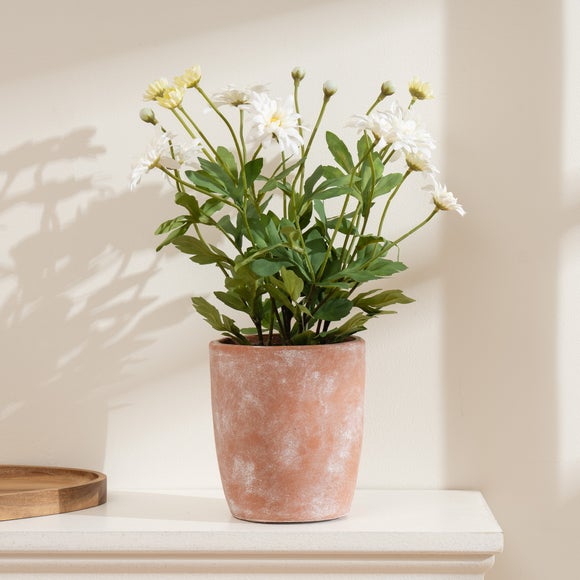 Artificial White Daisy In Terracotta Plant Pot