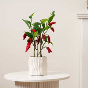 Artificial Chilli Plant In Ceramic Plant Pot