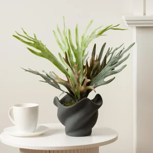 Artificial Sea Greens In Cement Shell Plant Pot