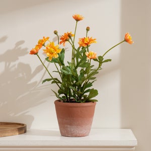 Artificial Pyrethrum Daisy In Terracotta Plant Pot