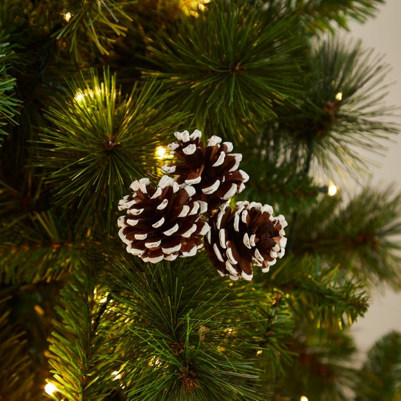 Pack of 3 Pinecones with White Tips