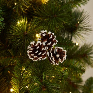 Pack Of 3 Pinecones With White Tips
