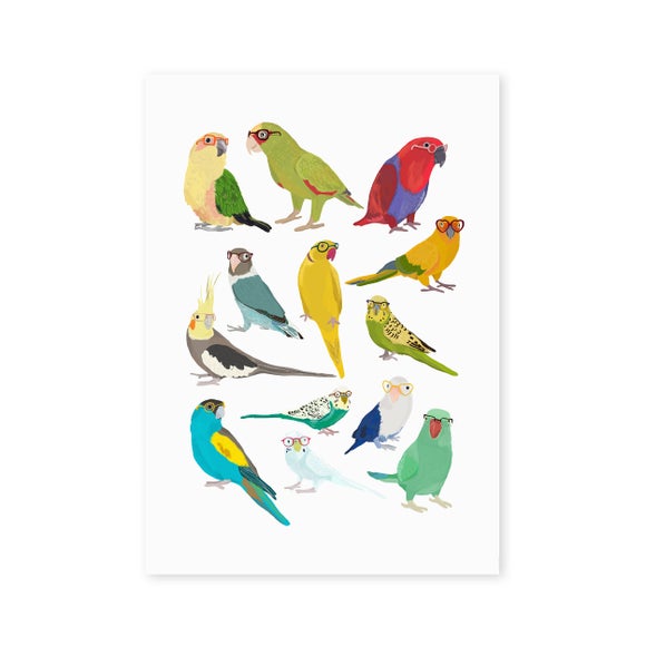 Photo 2 of East End Prints Parrots Print