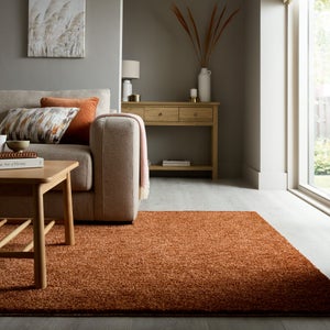 Kallie Washable Shaggy Rug