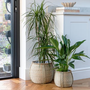 Set Of 2 Pando Seagrass Plant Pots