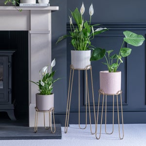 Saluzzo Iron Plant Stand