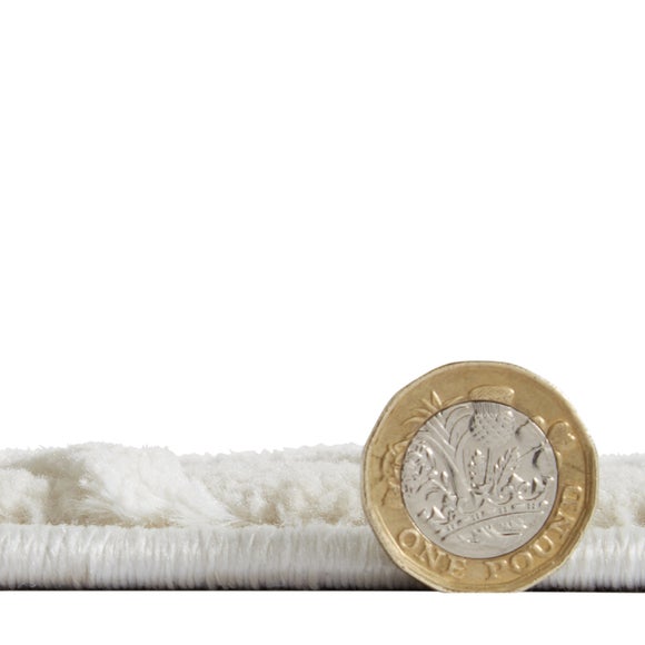 Carousel navigation image position 4 of 6