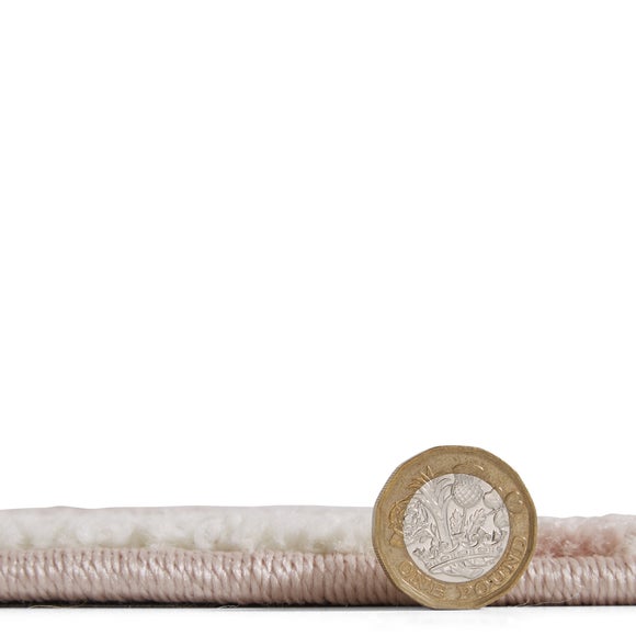 Carousel navigation image position 4 of 6