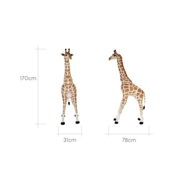 Carousel navigation image position 6 of 6