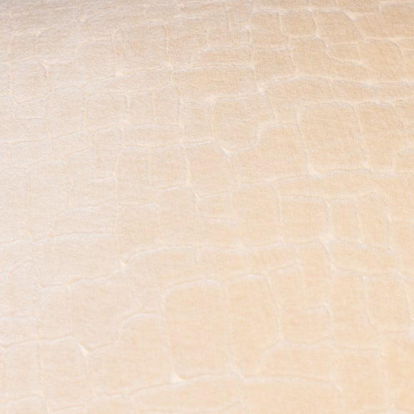 Carousel navigation image position 5 of 5