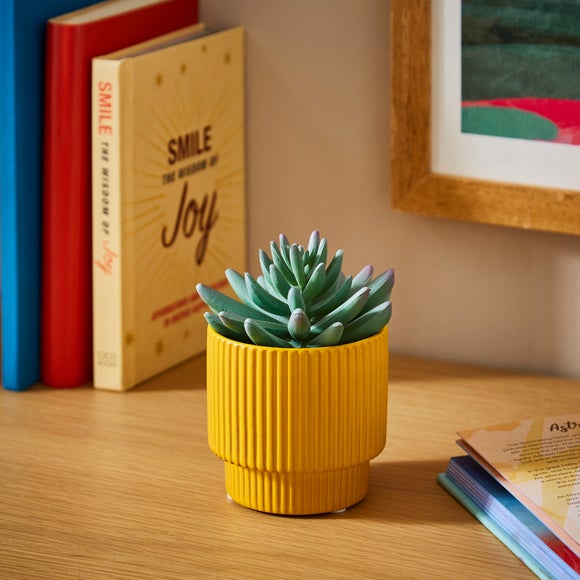 Artificial Succulent Plant In Ceramic Ribbed Pot