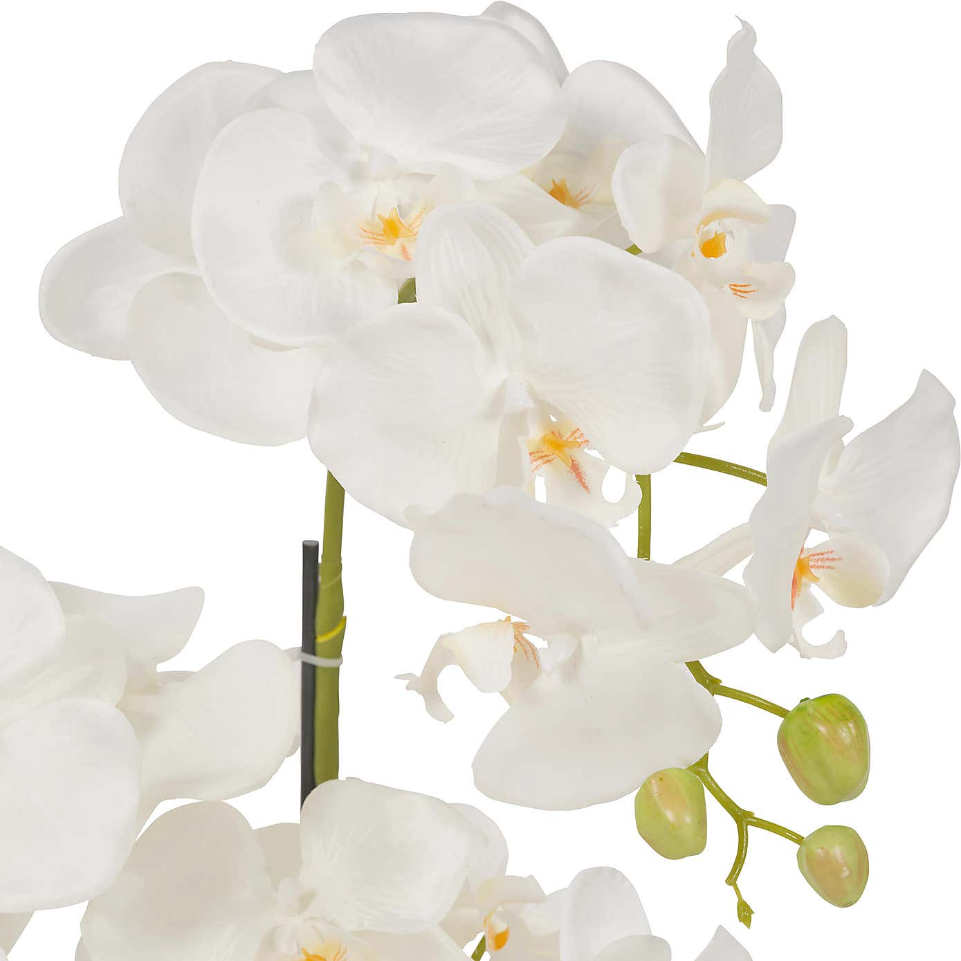 Carousel zoom image position 2 of 4