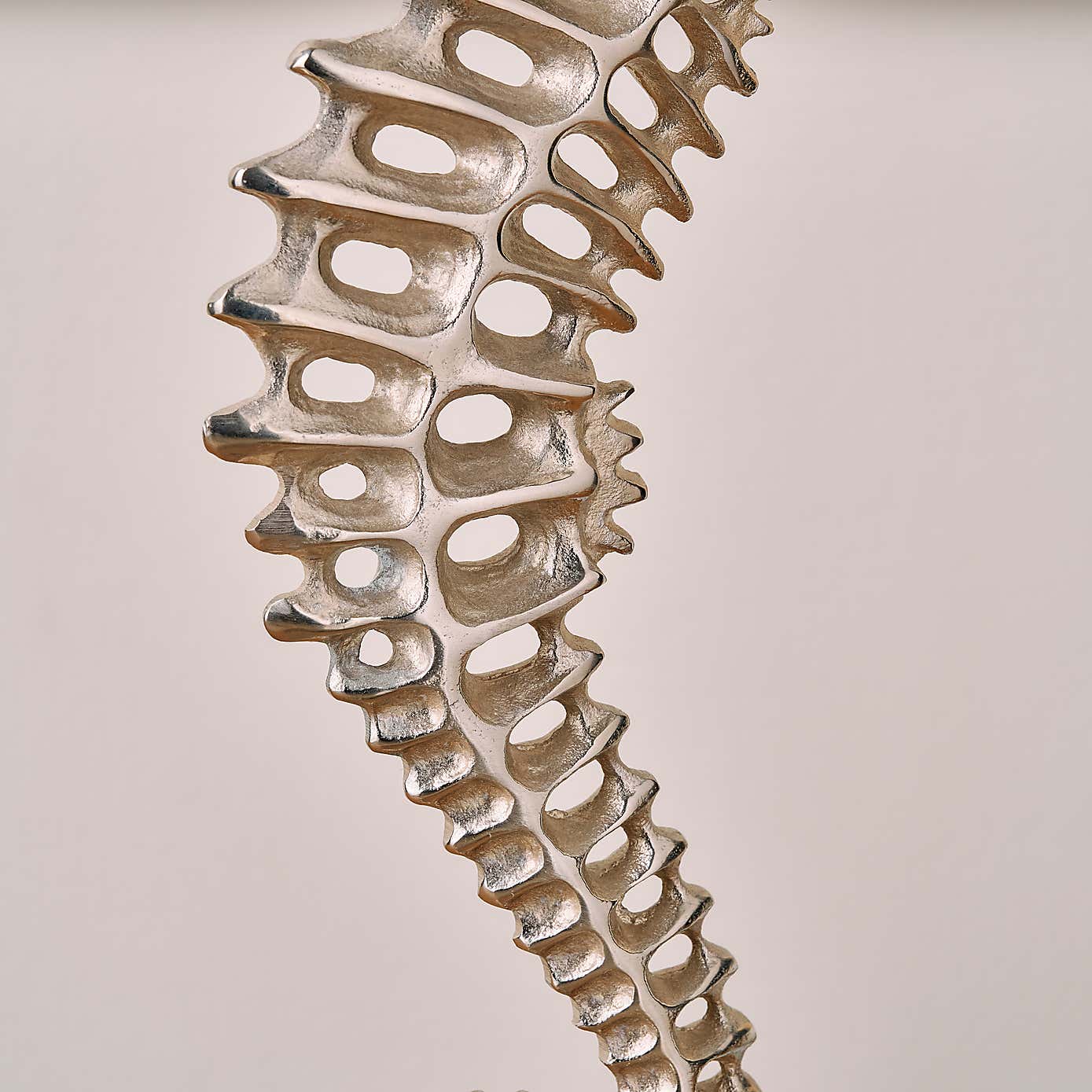 Carousel zoom image position 4 of 5