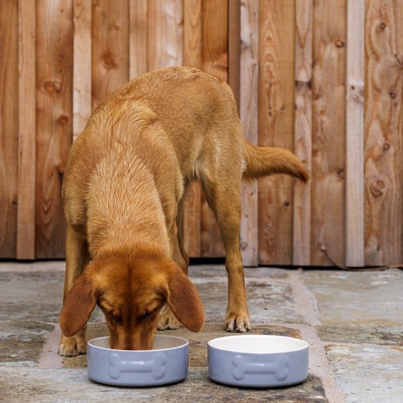 Carousel navigation image position 2 of 5