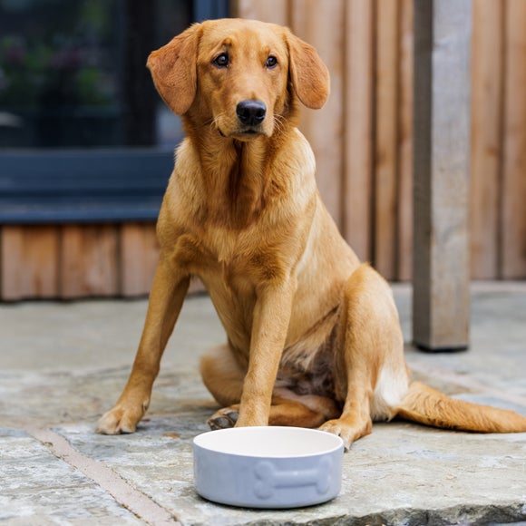 Carousel navigation image position 4 of 5