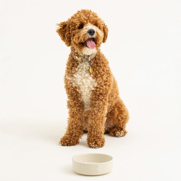 Carousel navigation image position 2 of 5