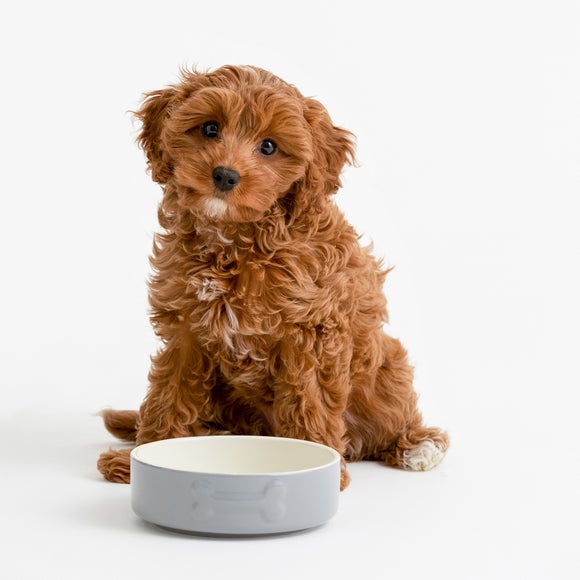 Carousel navigation image position 4 of 5