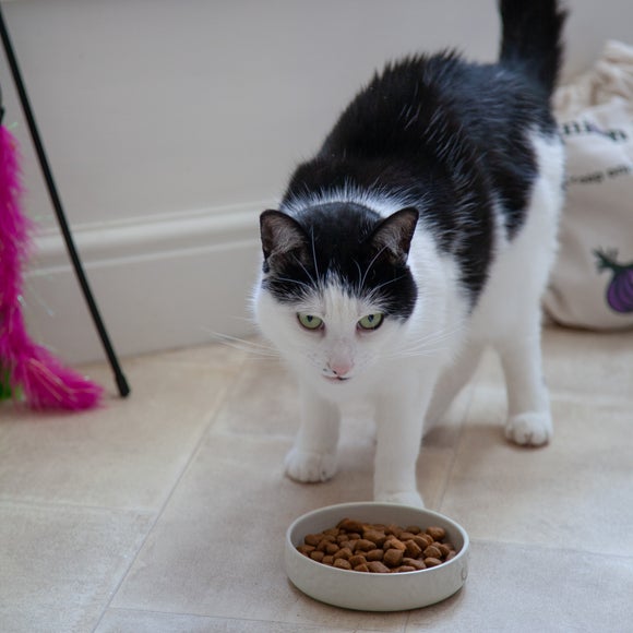 Carousel navigation image position 3 of 4