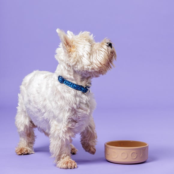 Carousel navigation image position 4 of 5