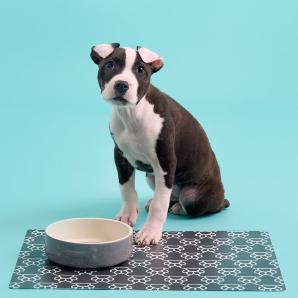 Carousel navigation image position 2 of 5