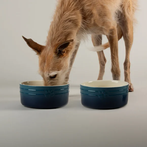 Carousel navigation image position 1 of 6