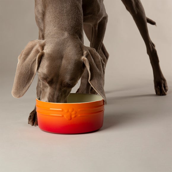 Scruffs Set of 2 Ombre Bowls