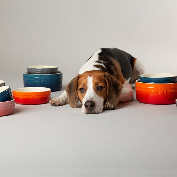 Scruffs Set of 2 Ombre Bowls