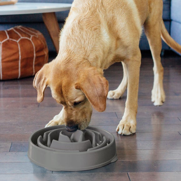 Rosewood Fun Feeder Drop Pet Bowl