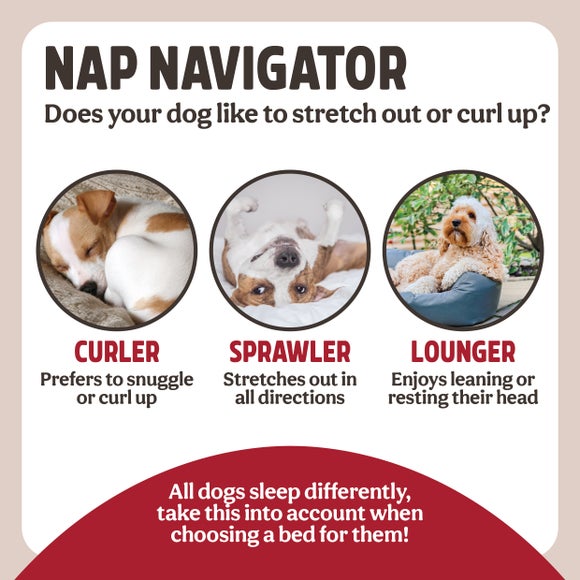 Carousel navigation image position 6 of 10