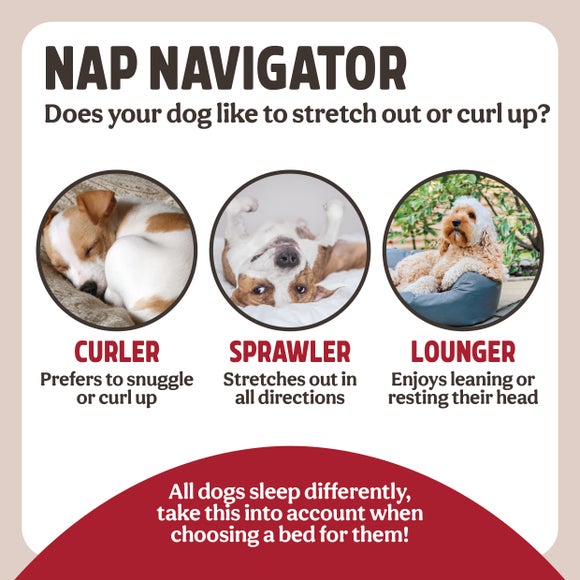 Carousel navigation image position 6 of 10