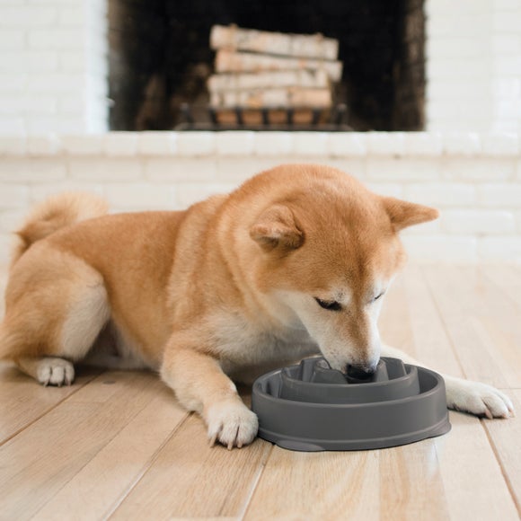 Carousel navigation image position 3 of 7