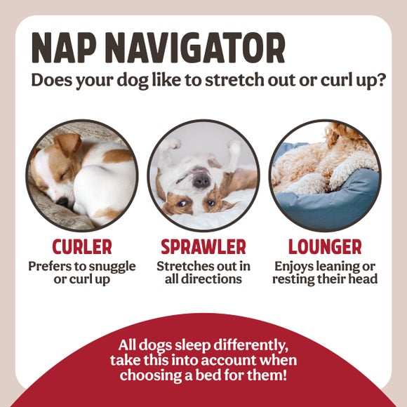 Carousel navigation image position 6 of 10