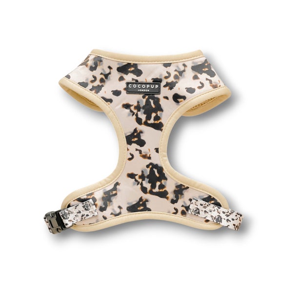 Carousel navigation image position 3 of 3