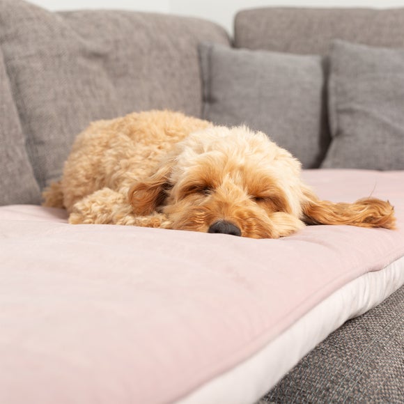 Carousel navigation image position 2 of 2