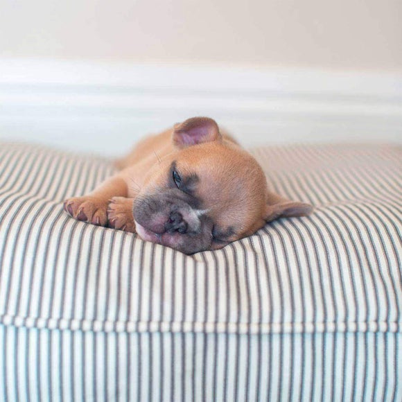 Carousel navigation image position 3 of 3