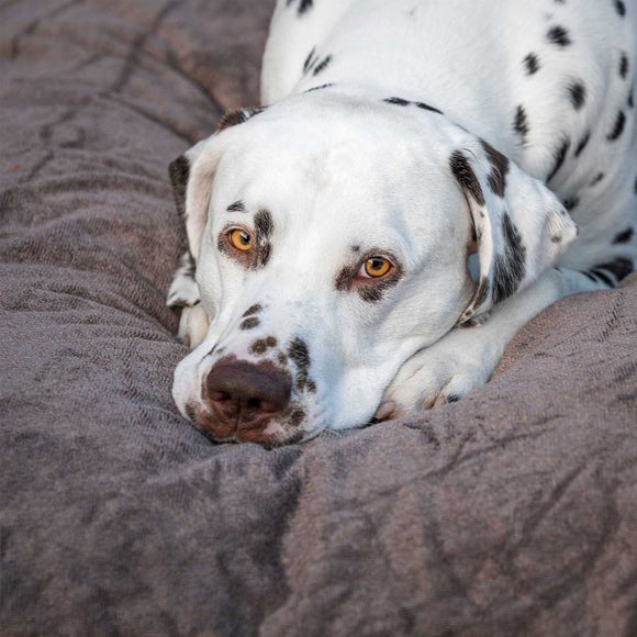 Carousel navigation image position 2 of 2