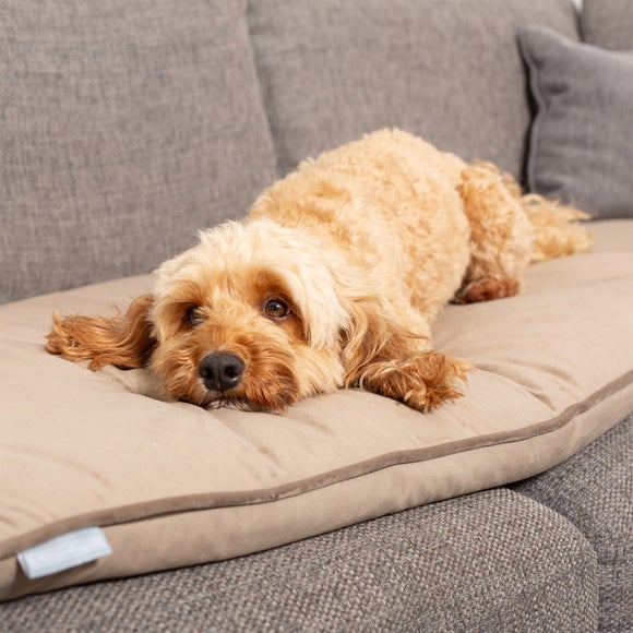 View Lords And Labradors Pet Sofa Topper View Lords And Labradors Pet Sofa Topper