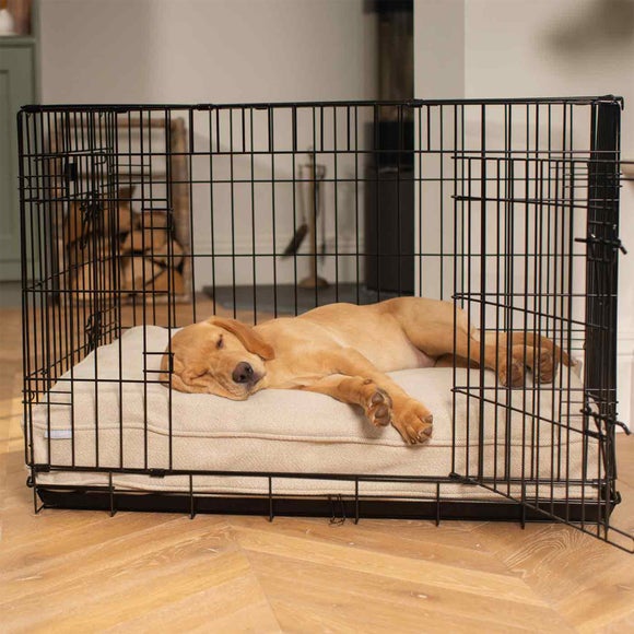 Carousel navigation image position 2 of 3