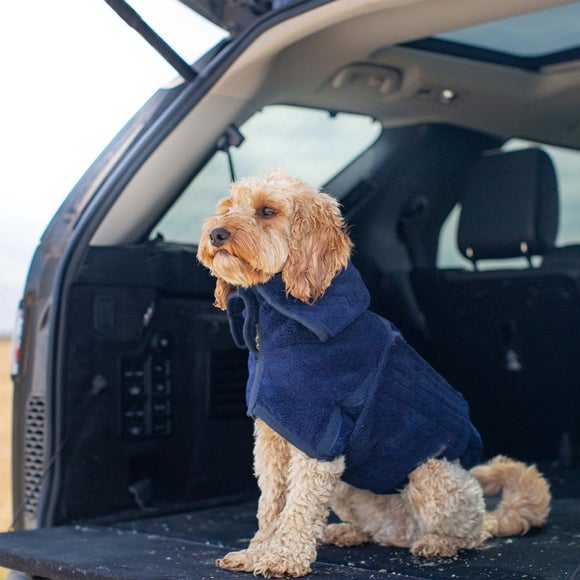 Carousel navigation image position 3 of 3