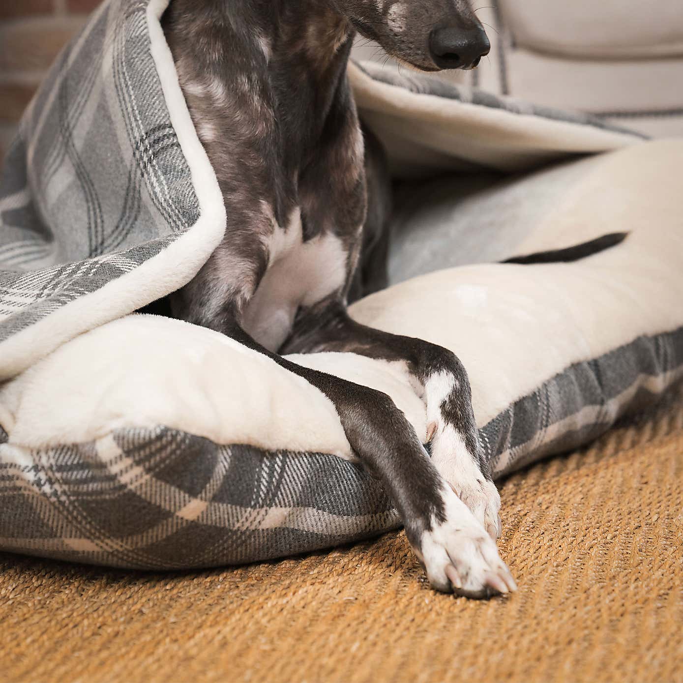 Carousel zoom image position 3 of 3