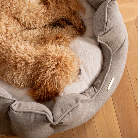 Carousel navigation image position 2 of 3