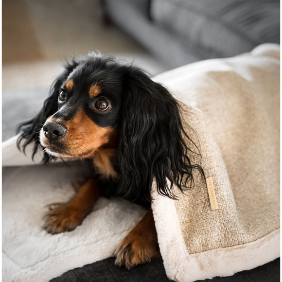 Lords and Labradors Essentials Herdwick Dog Blanket