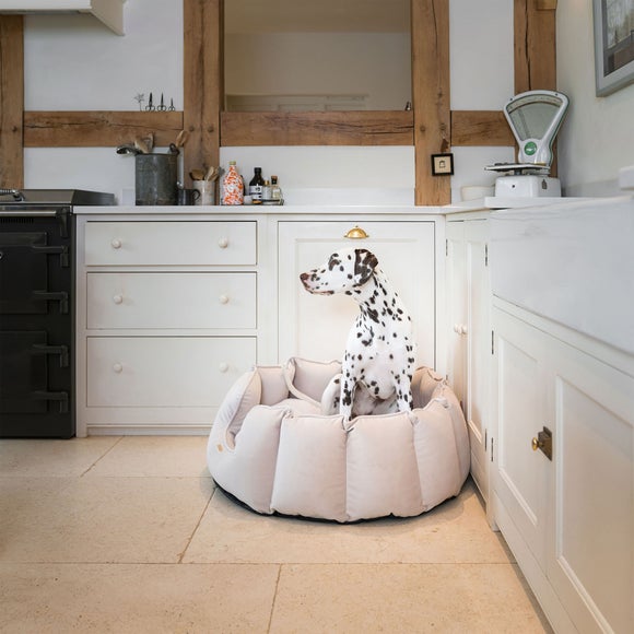 Carousel navigation image position 2 of 3