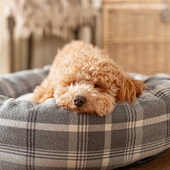 Carousel navigation image position 2 of 2