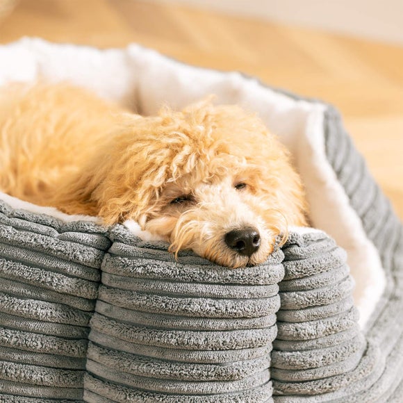 Carousel navigation image position 3 of 3