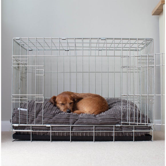 Lords and Labradors Dog Cushion
