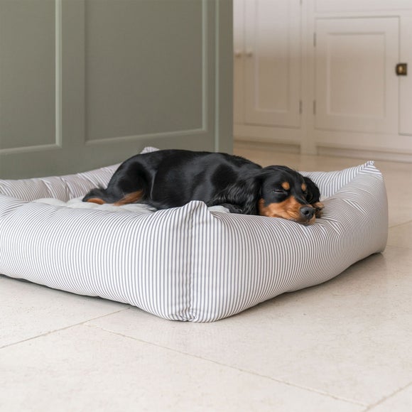 Lords and Labradors Striped Box Dog Bed