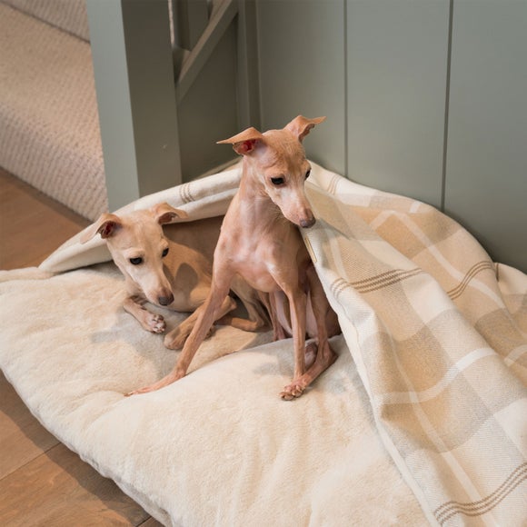 Carousel navigation image position 3 of 3