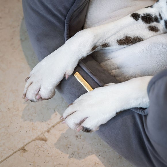 Carousel navigation image position 2 of 2